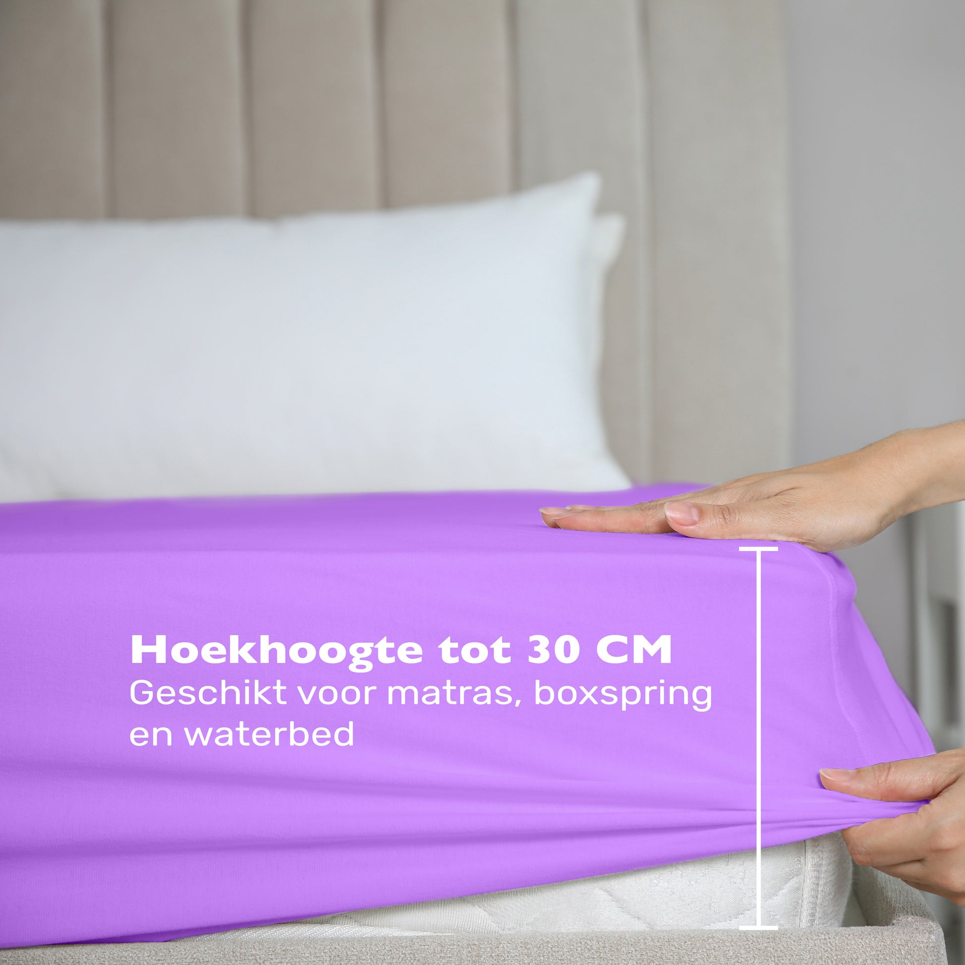 De maximale hoekhoogte van deze paarse jersey hoeslaken is 30 cm. Geschikt voor matras, boxspring en waterbed. 