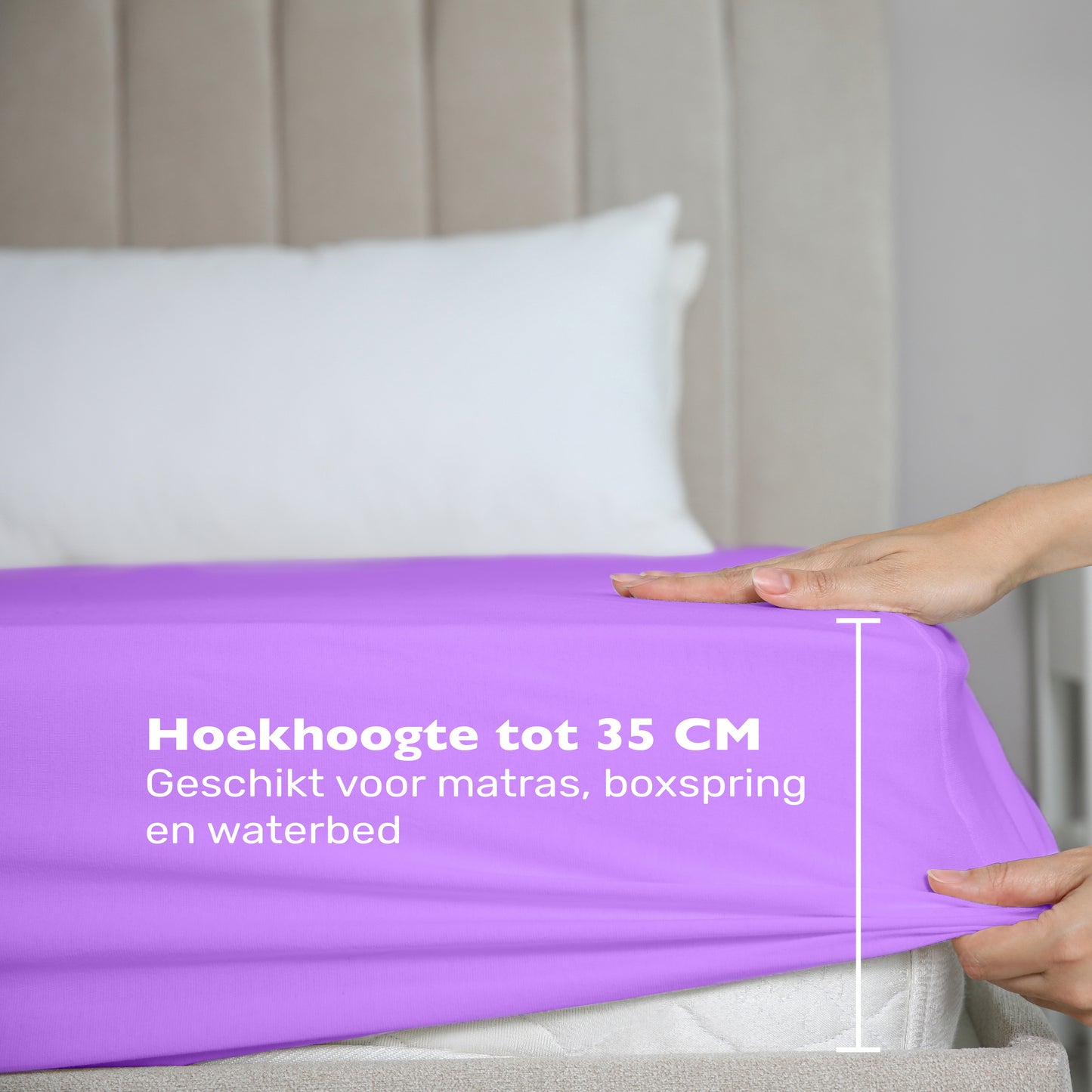 De maximale hoekhoogte van deze paarse jersey hoeslaken is 35 cm. Geschikt voor matras, boxspring en waterbed. 